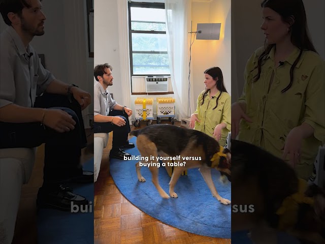 Architect Designs The Most Dog-Friendly Coffee Table | The Dodo