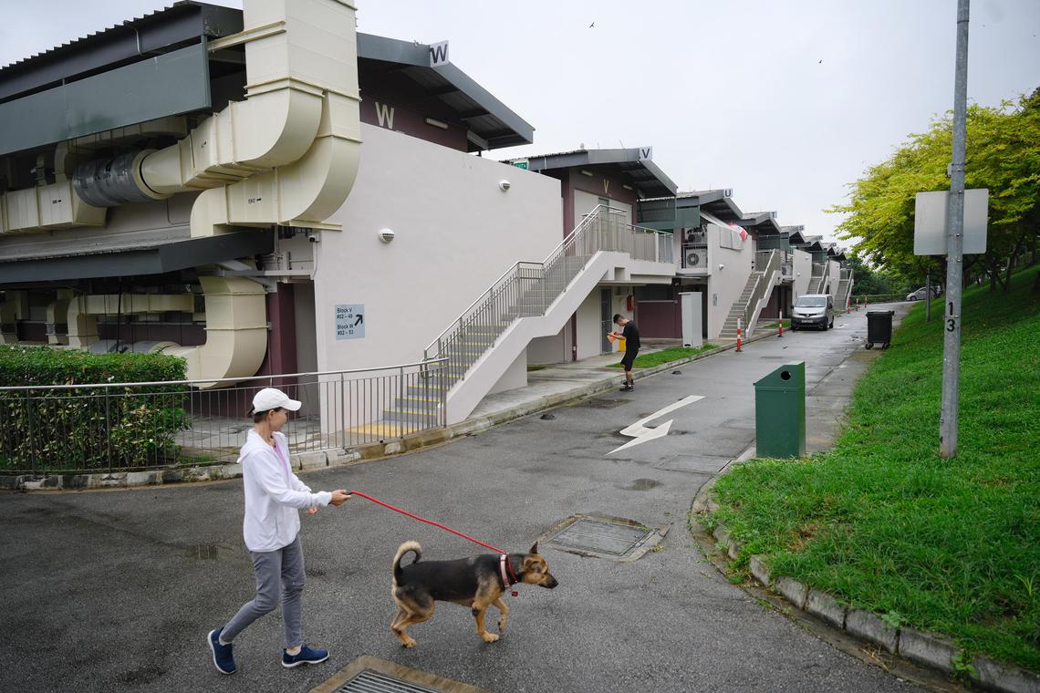 Tengah facility with over 40 animal shelters, businesses hit by ticks