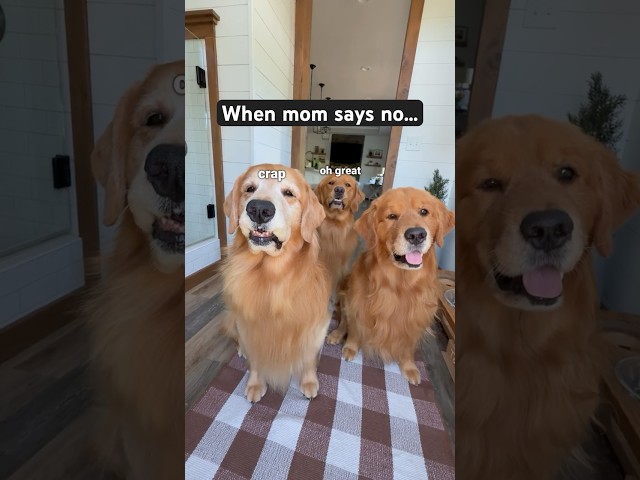 When your mom says no...