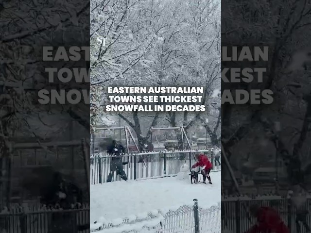 Eastern Australian towns experience thickest snowfall in decades
