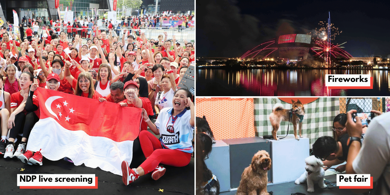 5 Free ways to celebrate national day at s’pore sports hub, from fitness parties to fireworks
