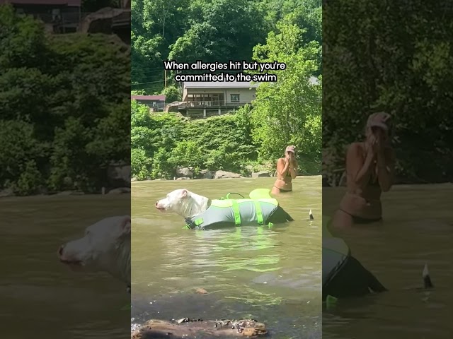 Dog Has Adorable Sneezes While Swimming In River