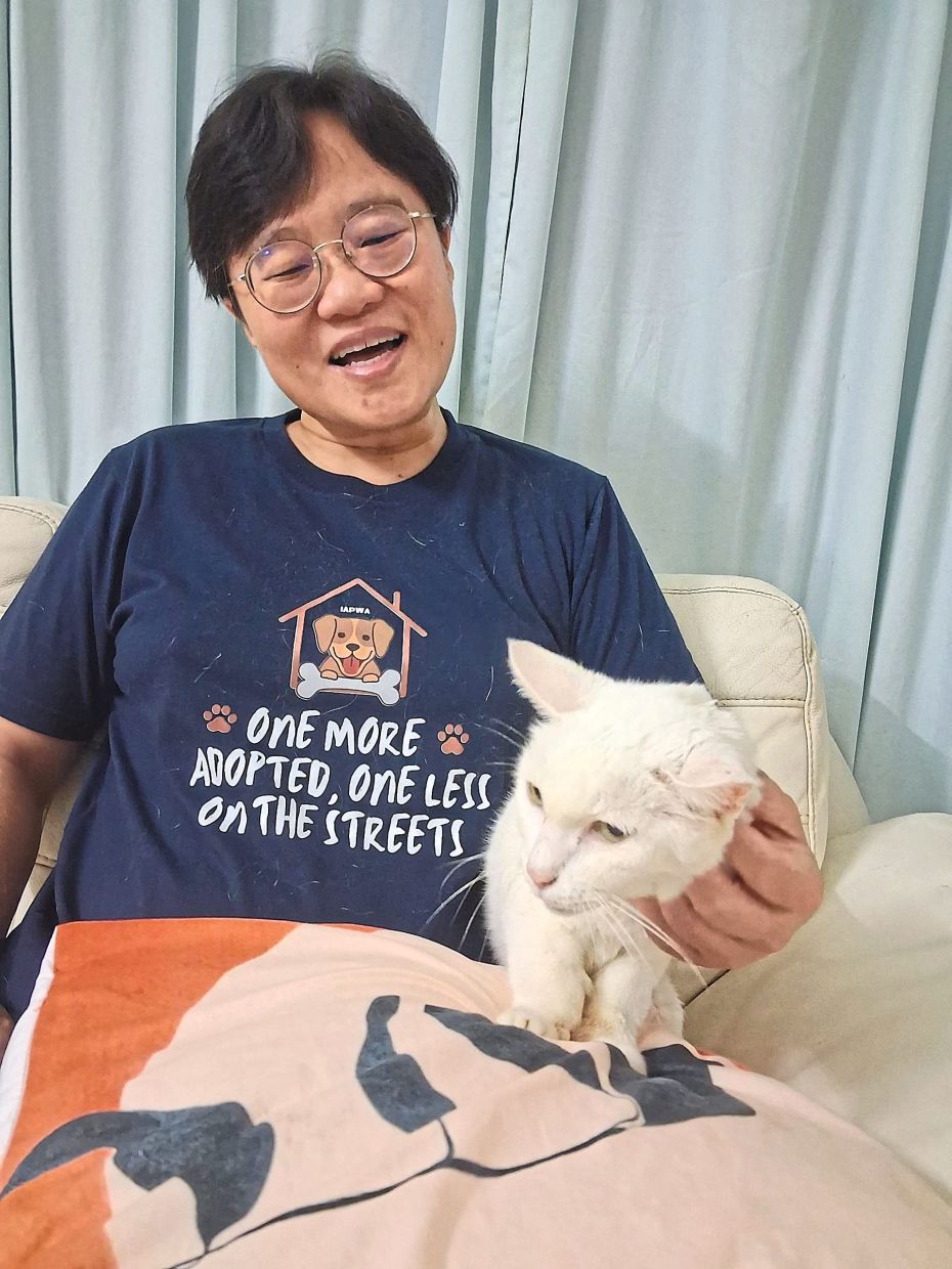 Giving stray animals chance, not pity