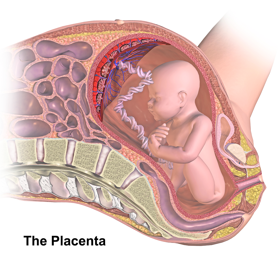 When you're pregnant with the flu