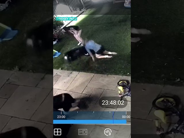 Drunk Shenanigans In The Garden