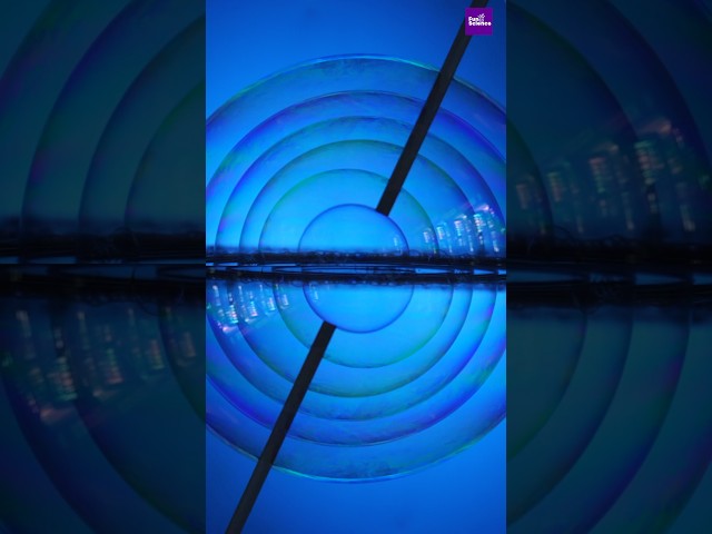 Relax with bubble soap #bubble #experiment #funscience