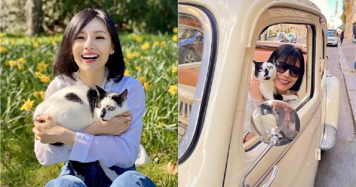 From Udon to Rudon: Sharon Au on her cat's name change and his very own French passport
