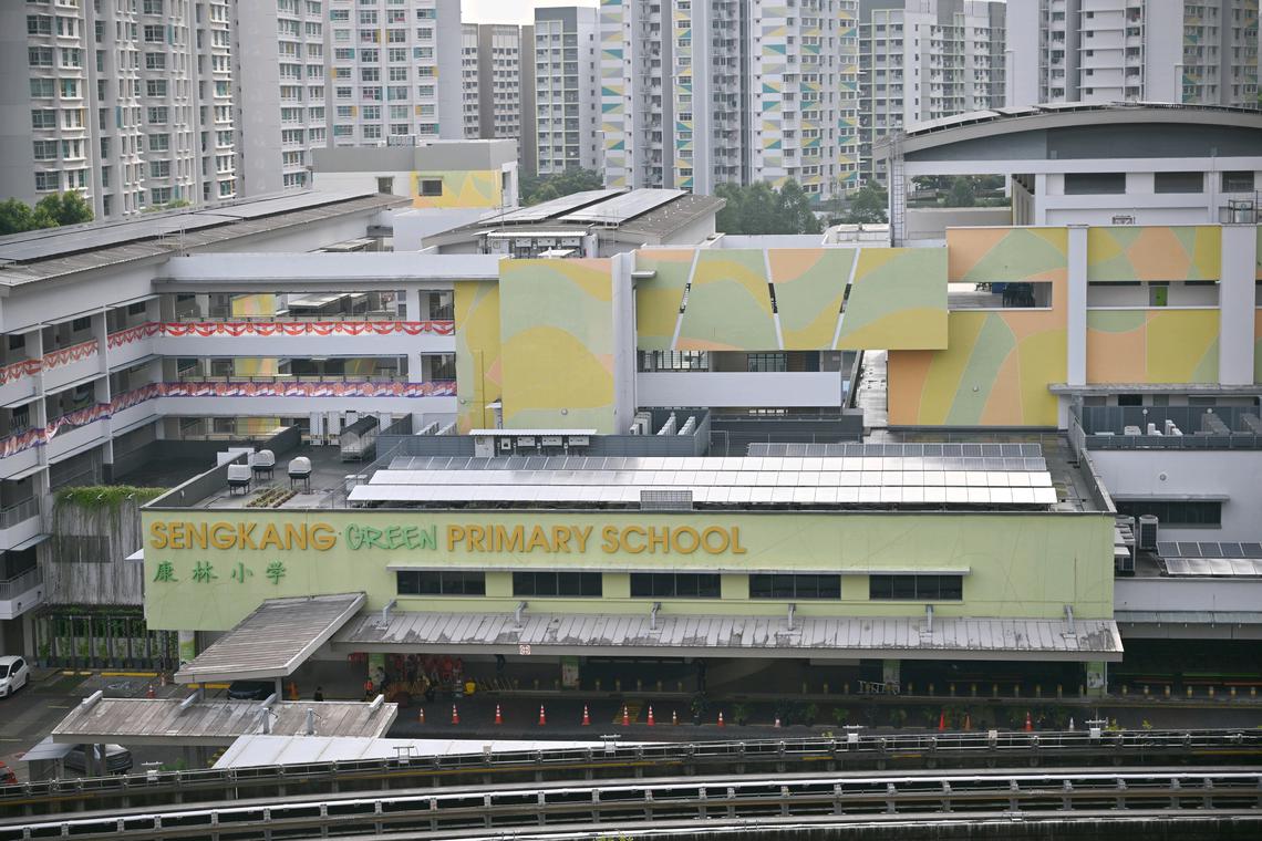 3 Sengkang Green Primary pupils suspended for bullying classmate, with 1 of them caned: MOE