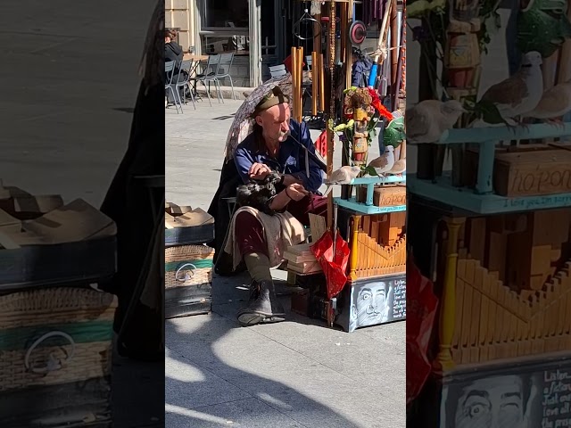Street Artist Plays Music With Chicken! 🫨🎺