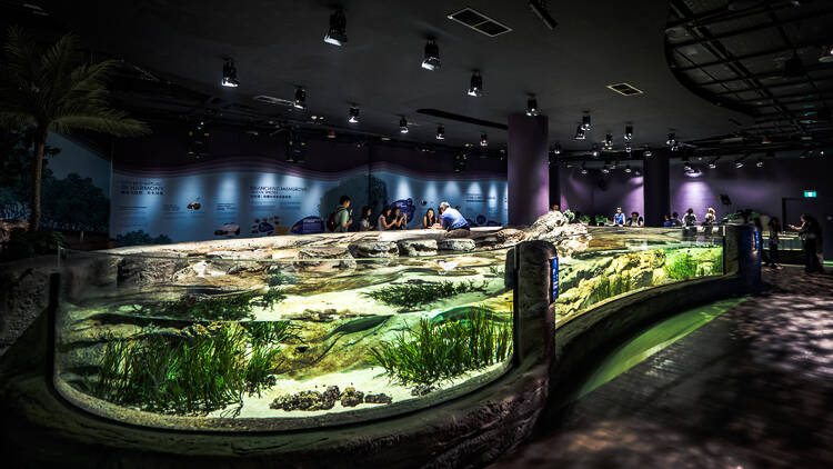 A day at Asia’s newest marine destination: What to see, snap and do at Singapore Oceanarium