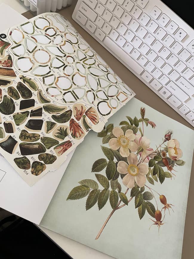 If You Have No Interests Other Than “Phone,” These 24 Activities May Help You Find A New Hobby