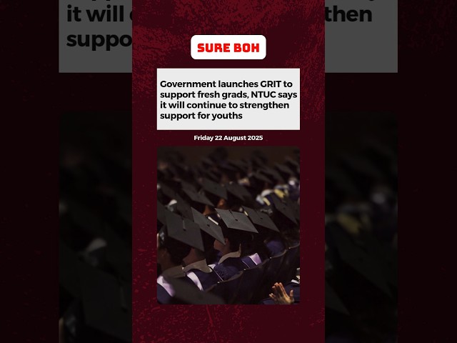 Govt launches GRIT to support fresh grads, NTUC says will continue to strengthen support for youths
