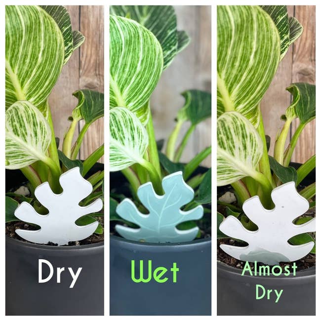 36 Practical Products Disguised As Fun Impulse Buys