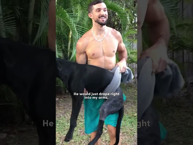 Guy Adopts A 3-Legged Dog After His Divorce | The Dodo