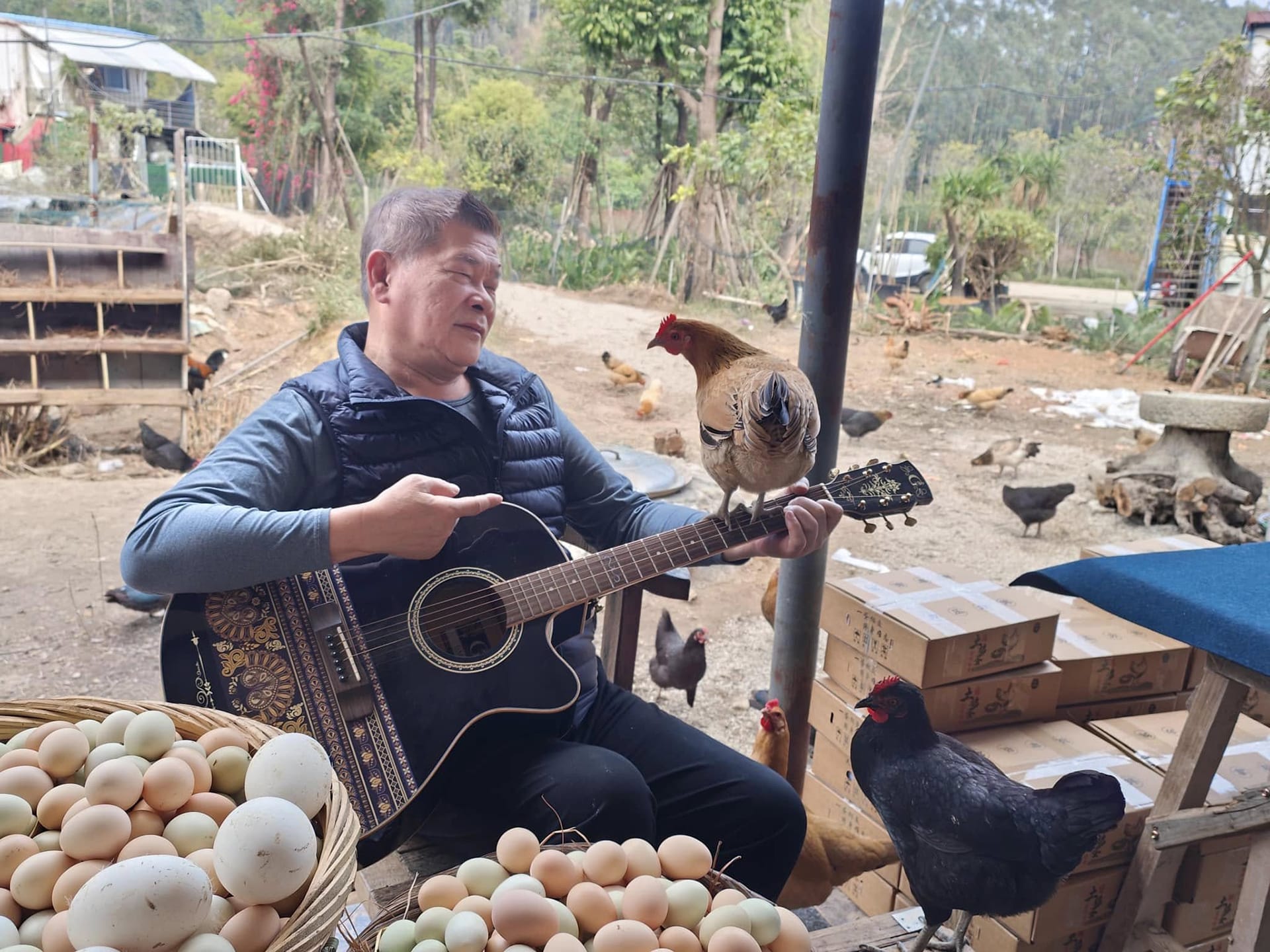 69-Yr-Old Taiwanese Star Sells Sweet Potatoes To Pay Off Debt