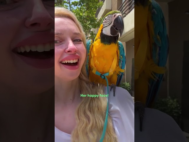Macaw Who Lost Her Home In LA Fires Meets Her Soulmate | The Dodo