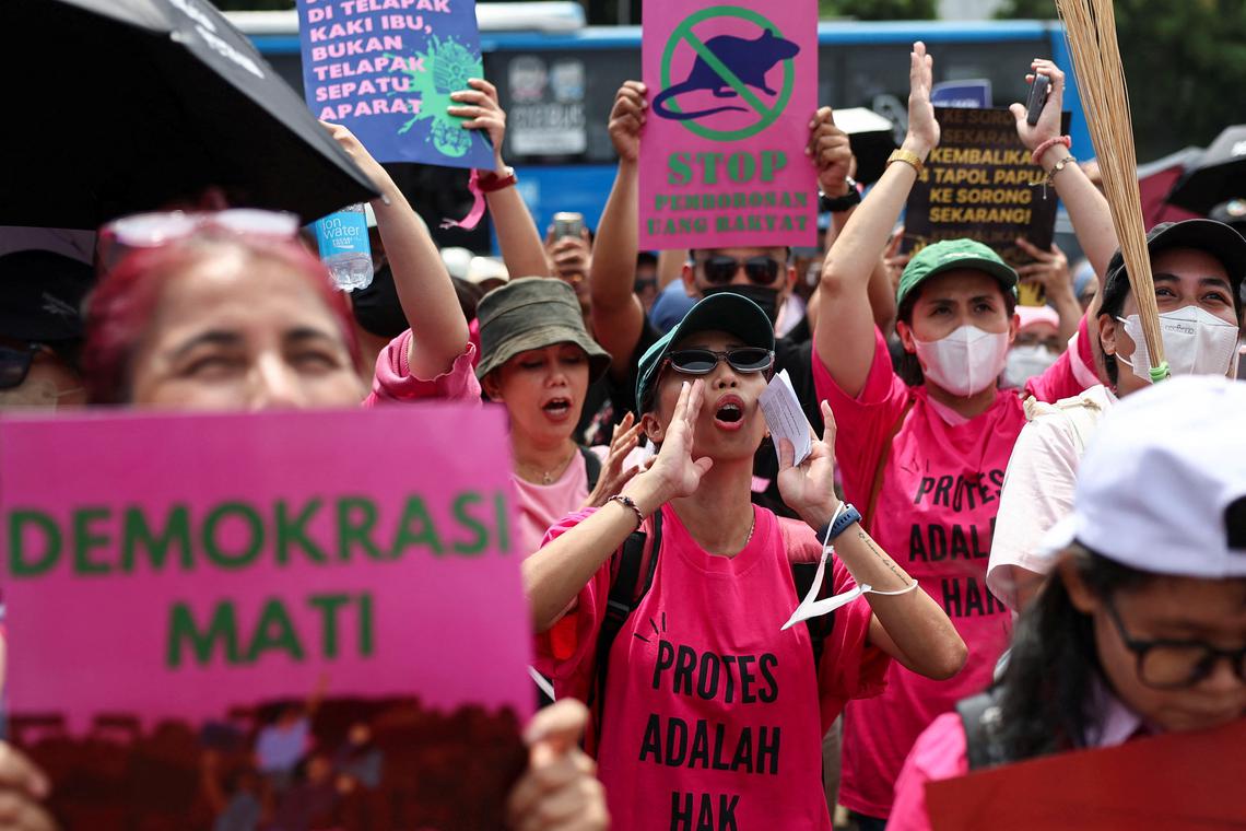 ‘Pink and green’ protests call for a reset in Indonesia