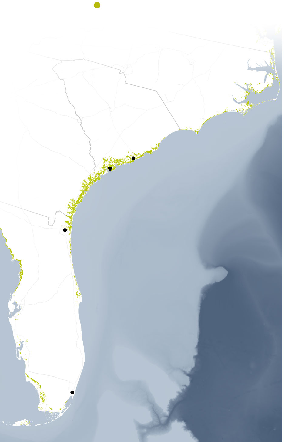 Humans Are Altering the Seas. Here’s What the Future Ocean Might Look Like.