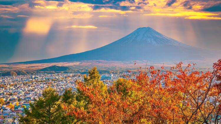Air Japan by ANA ramps up its schedule with daily Singapore-Tokyo flights from late November