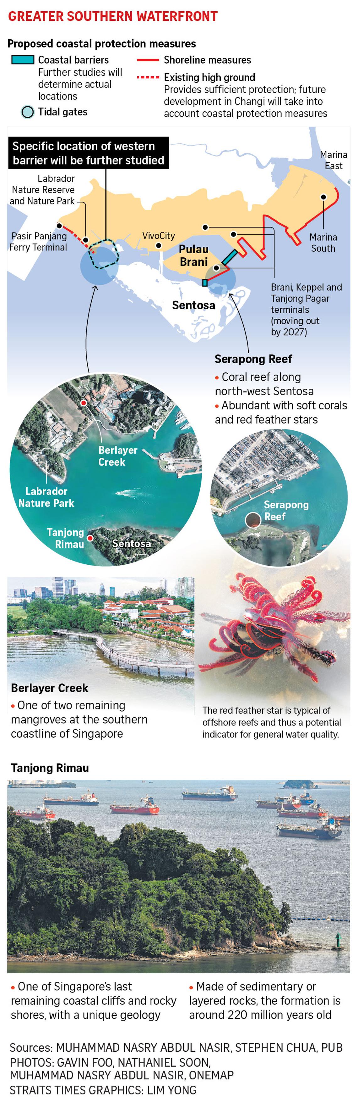 Berlayer Creek mangroves and Sentosa’s Tanjong Rimau among nature spots at risk from coastal measures