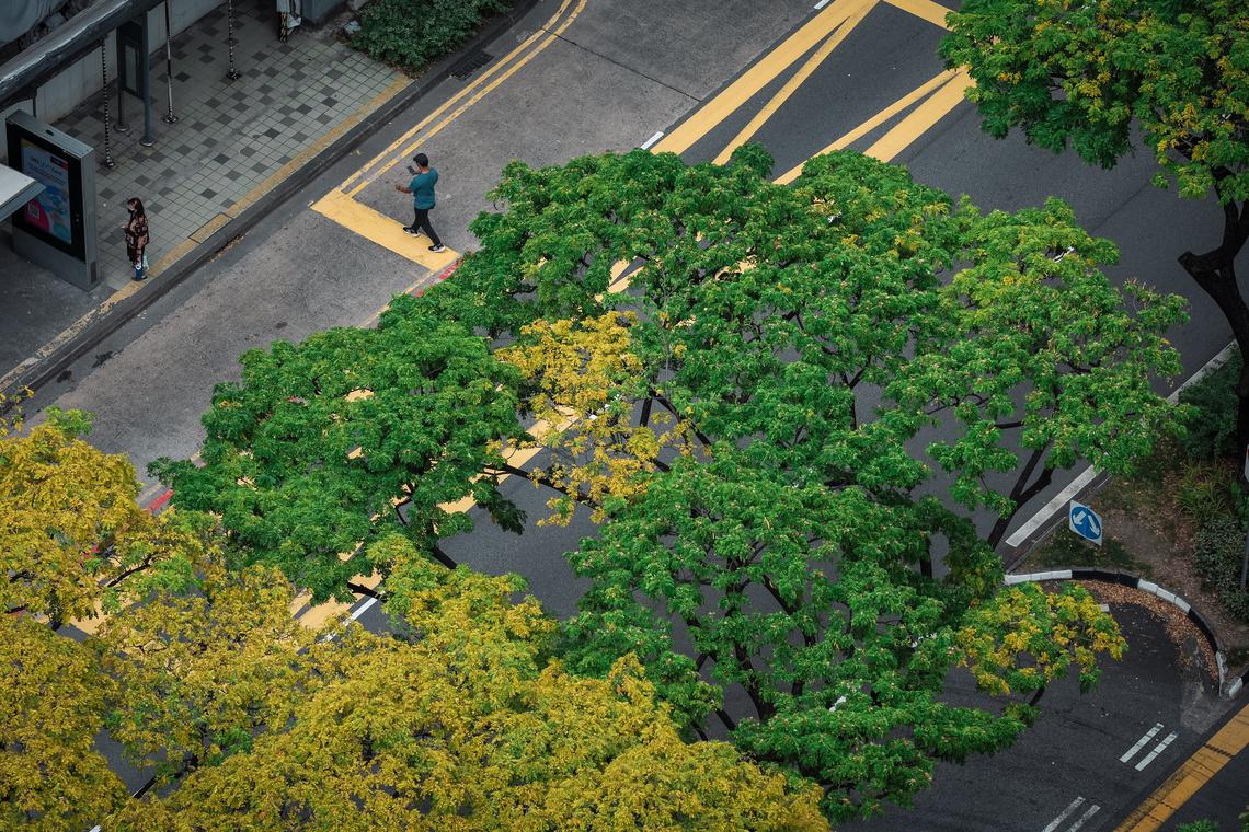 Singapore closes $655m to fund green, sustainable projects in South-east and South Asia