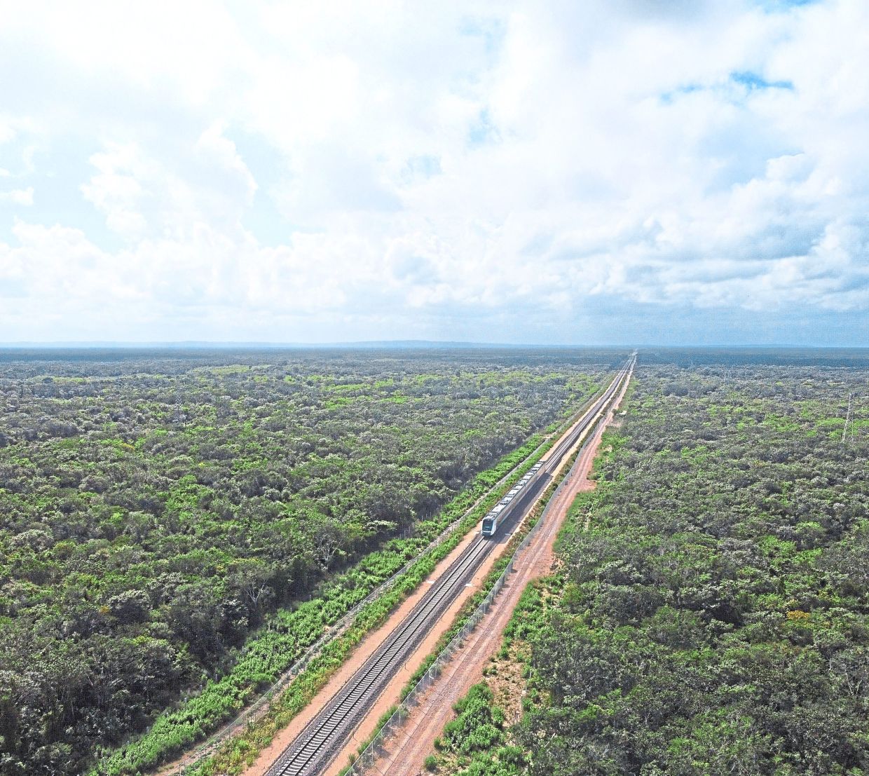 How Guatemala, Mexico, Belize plan to protect 5 million hectares of Mayan forest