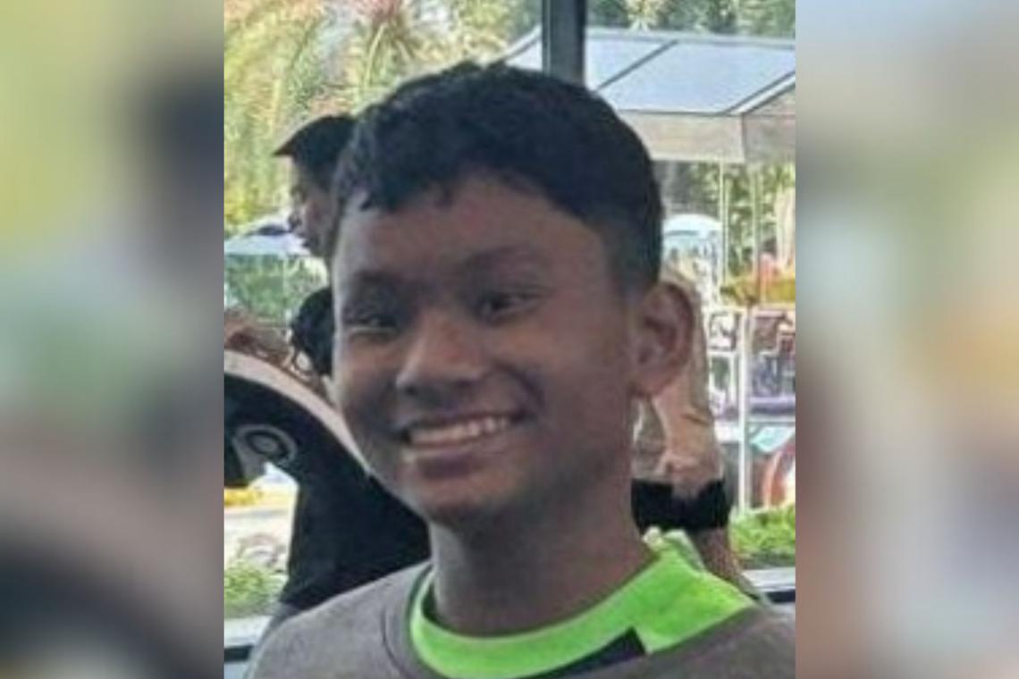 Help! Have you seen this boy? The police are looking for him! 