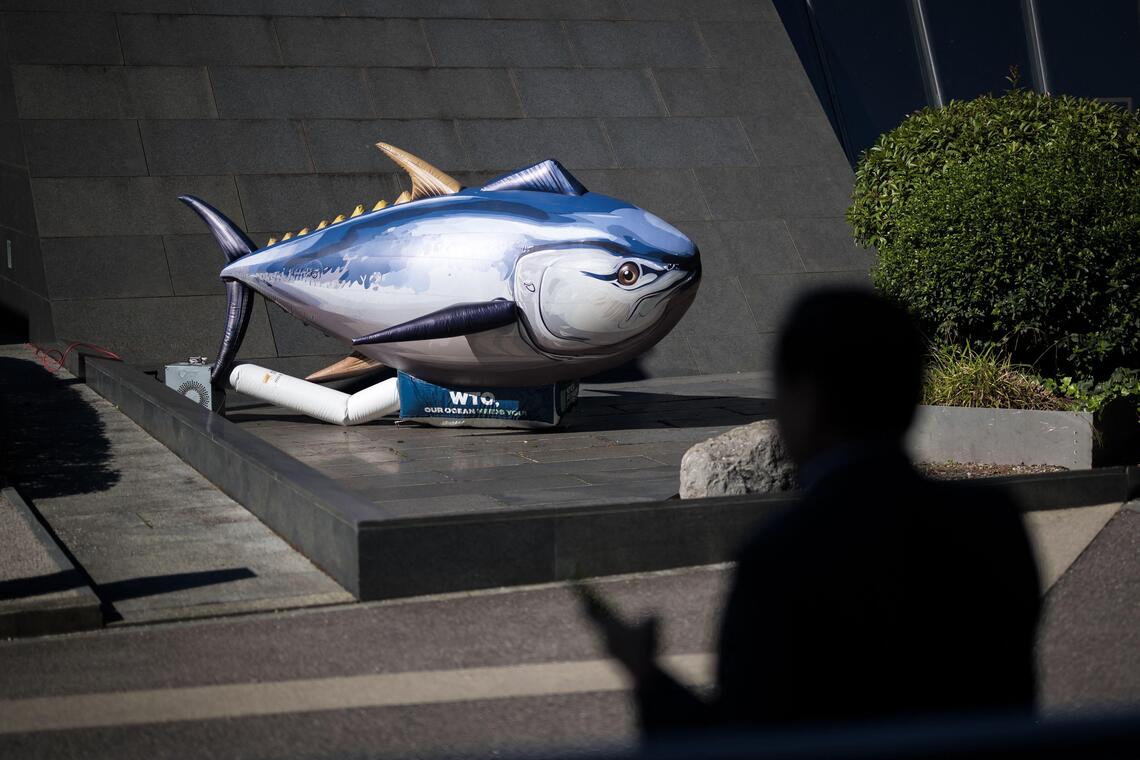 World Trade Organisation fishing deal: The net results