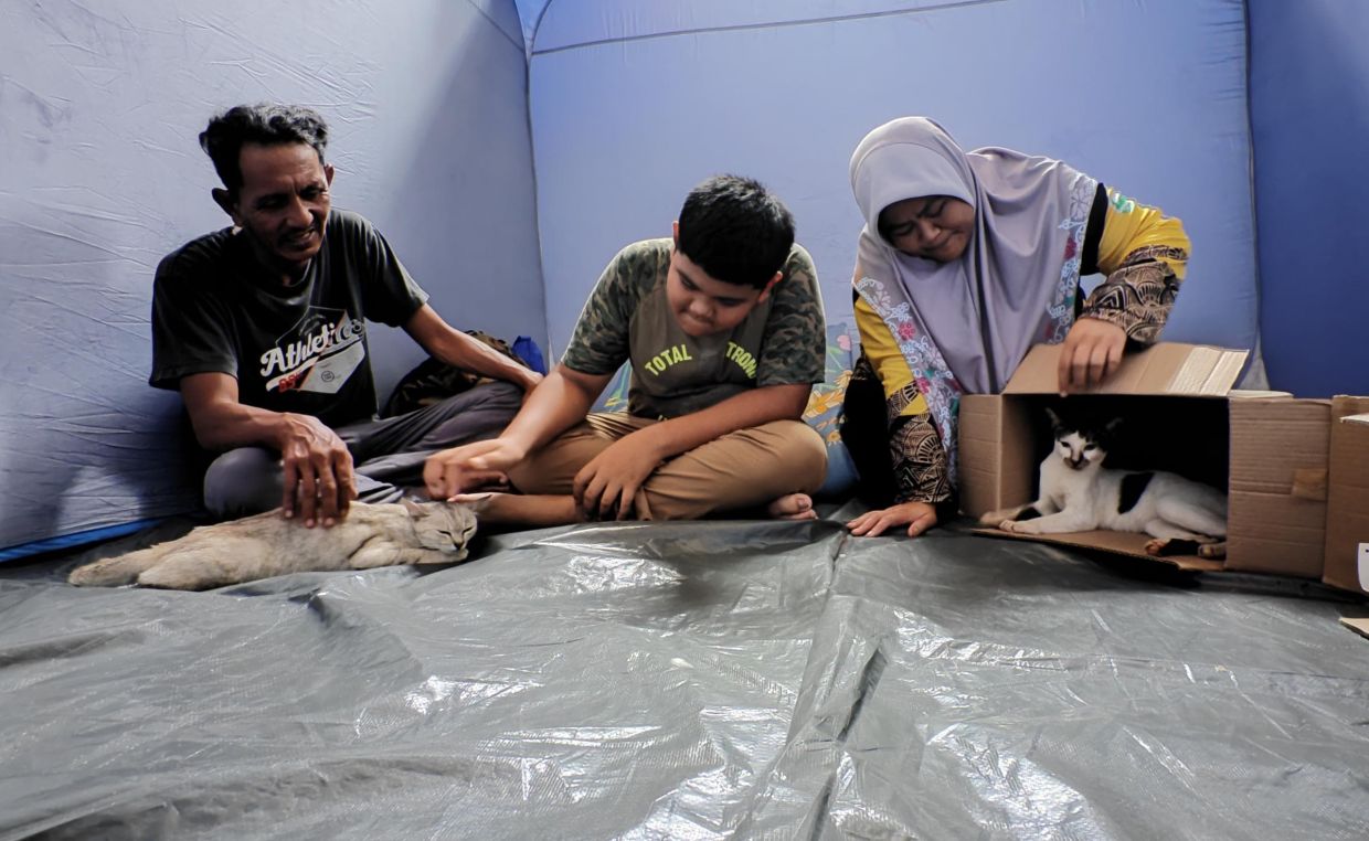 Sabah floods: Cat lover refuses to leave flooded home without 'fur babies'