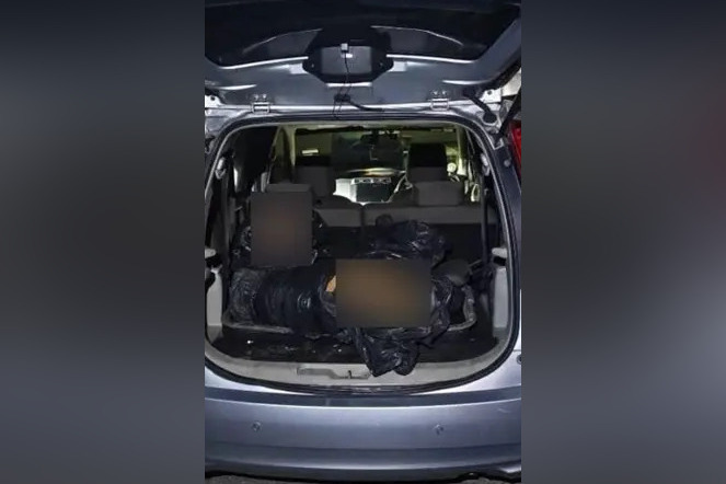 Three arrested in Malaysia after tiger carcass found in vehicle