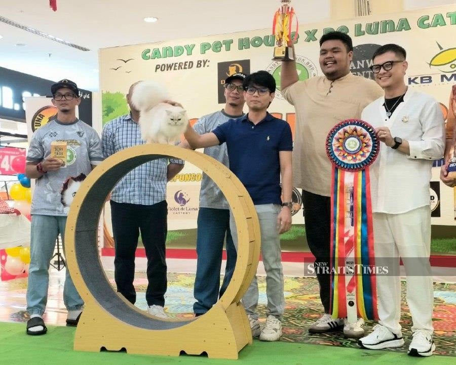Purr-fect fashion: Felines strut in Malaysia Day cat show