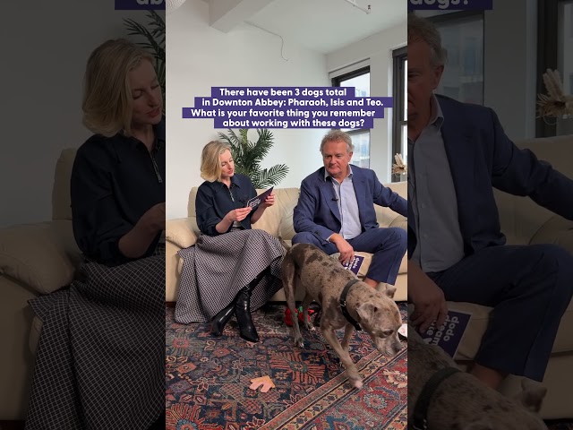 Hugh Bonneville and Laura Carmichael Go On a Dodo Dream Date | The Dodo