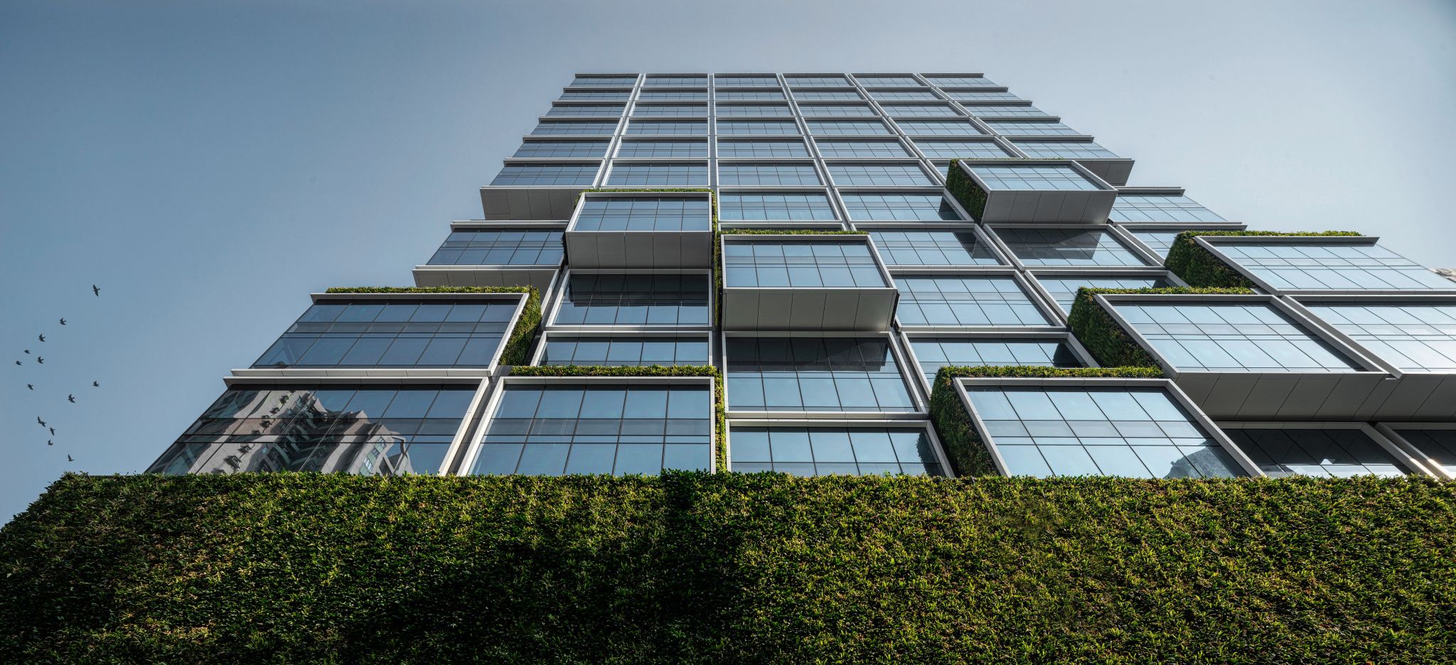 Hong Kong real estate giant New World starts digital assets firm