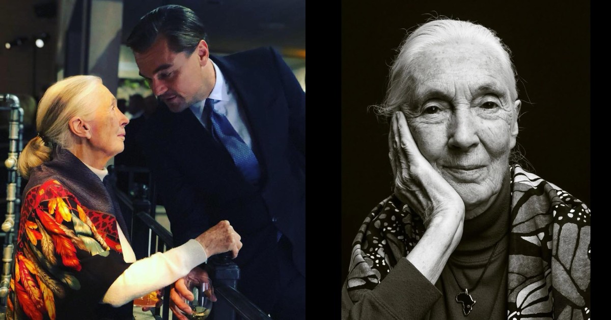 Leonardo DiCaprio remembers Dr Jane Goodall as 'true hero for the planet'