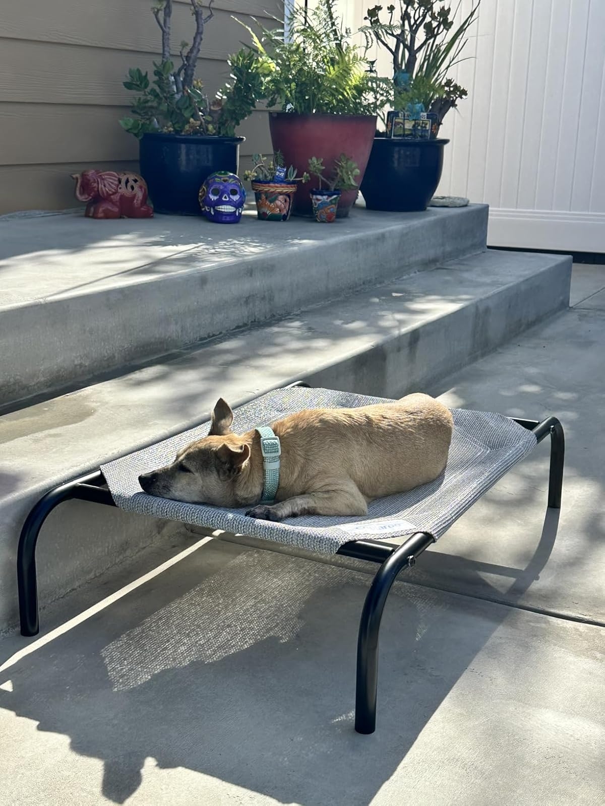 If You Love Spending Outdoor Time With Your Pets In The Fall, Check Out These 27 Products