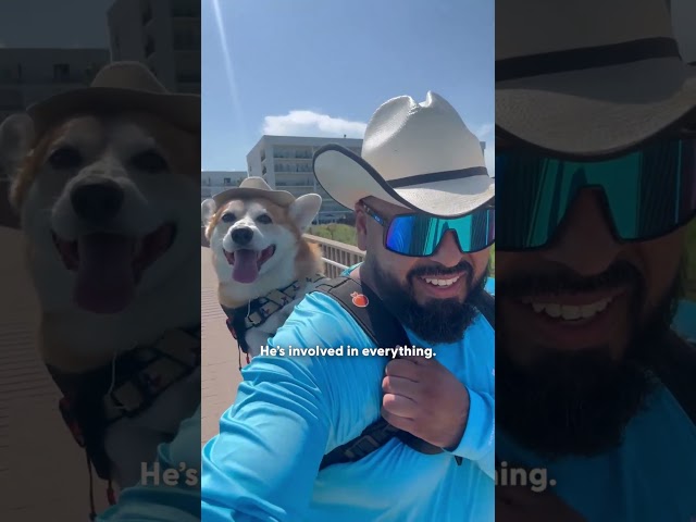Corgi Insists On Supervising Dad When He Grills | The Dodo