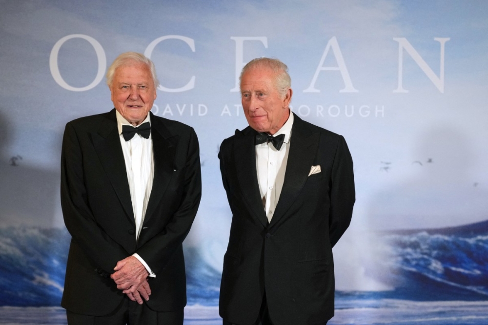 Nature’s grand storyteller: David Attenborough makes Emmy history at 99 with Netflix’s ‘Secret Lives of Orangutans’