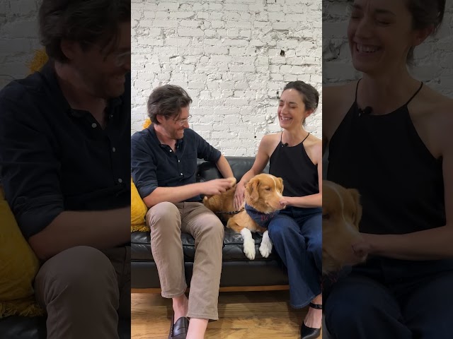 We Hung Out With A (Dog) Movie Star And His Filmmaker Parents | The Dodo