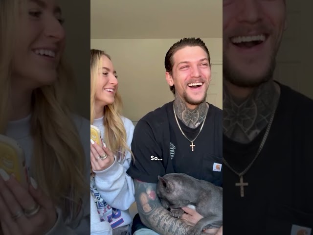 Watch This Senior Frenchie Get Loved Back To Life | The Dodo