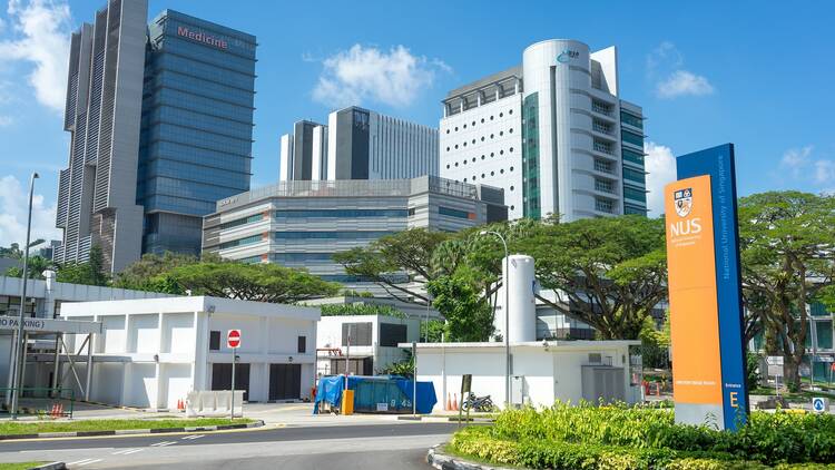 Singaporeans have some of the highest IQs in the world, number one in Southeast Asia