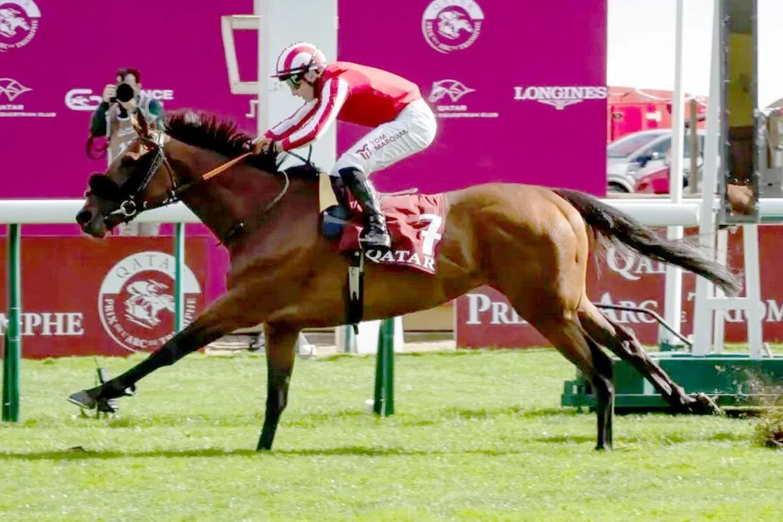 Caballo De Mar eyes Group 1 double