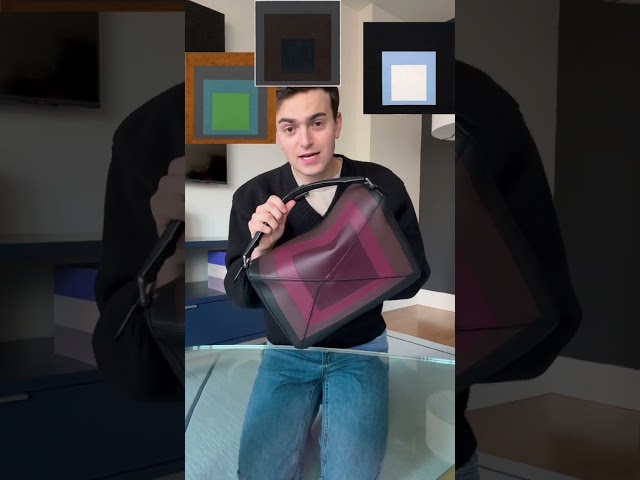 i should really just hang it on the wall 🥹 #fashion #history #bag #loewe #arthistory