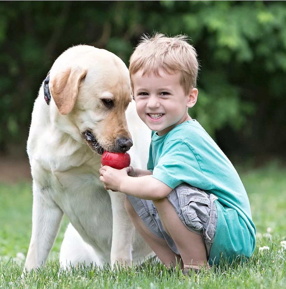 The Bottom Line Is These 27 Chewy Products Will Make Your Life As A Pet Parent A Bit Better