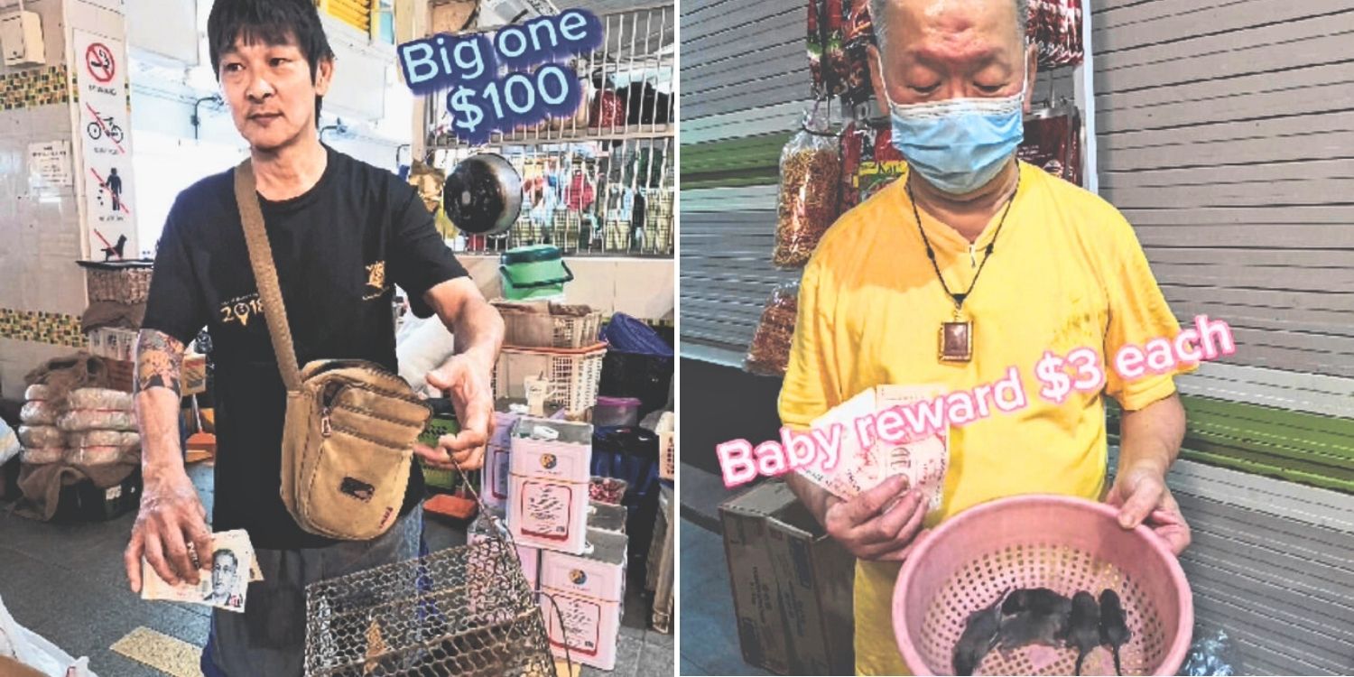 ‘Catch a rat, get cash’: Clementi hawker centre rewards vendors for tackling rodent problem