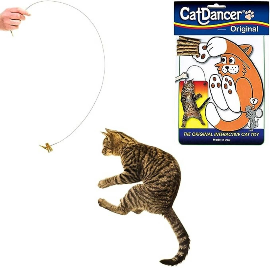 This $4 Cat Toy Is 'Worth Its Weight In Gold' — And Behaviorists Say There's A Reason