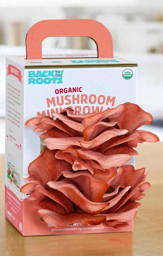 43 Perfect Gifts For Anyone Who Has No Discernible Hobbies