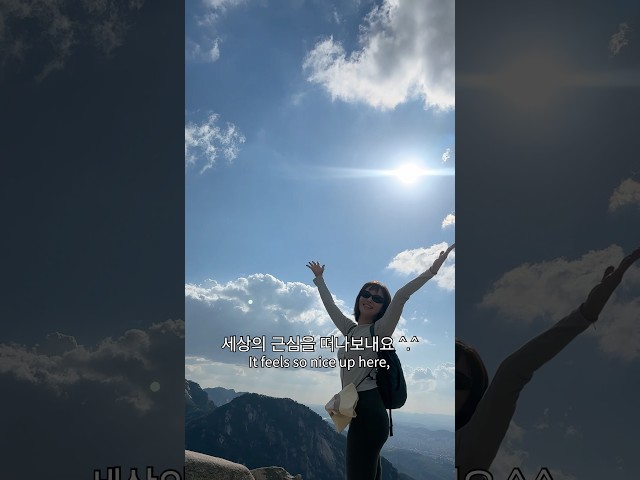 산꼭대기에서 고양이 만난 날