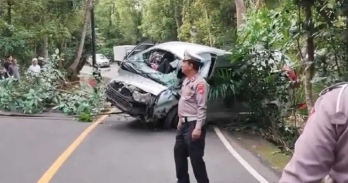 5 Chinese tourists killed in minibus accident in Bali