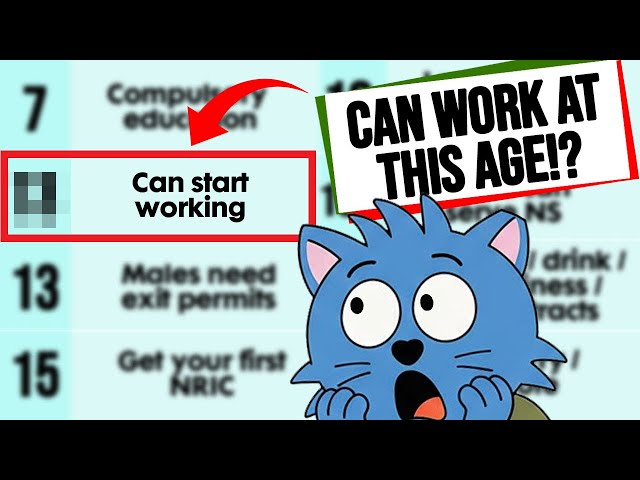 Complete Guide to What You Can Do at Every Age in Singapore (7–65+)