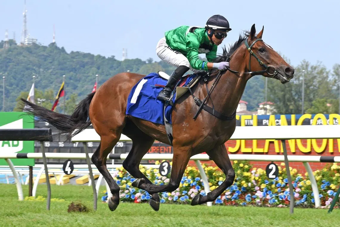 Fright thrown in at the deep end in Singapore Pools race